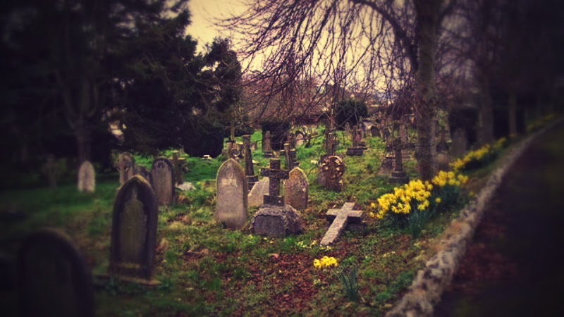 remembering the dead