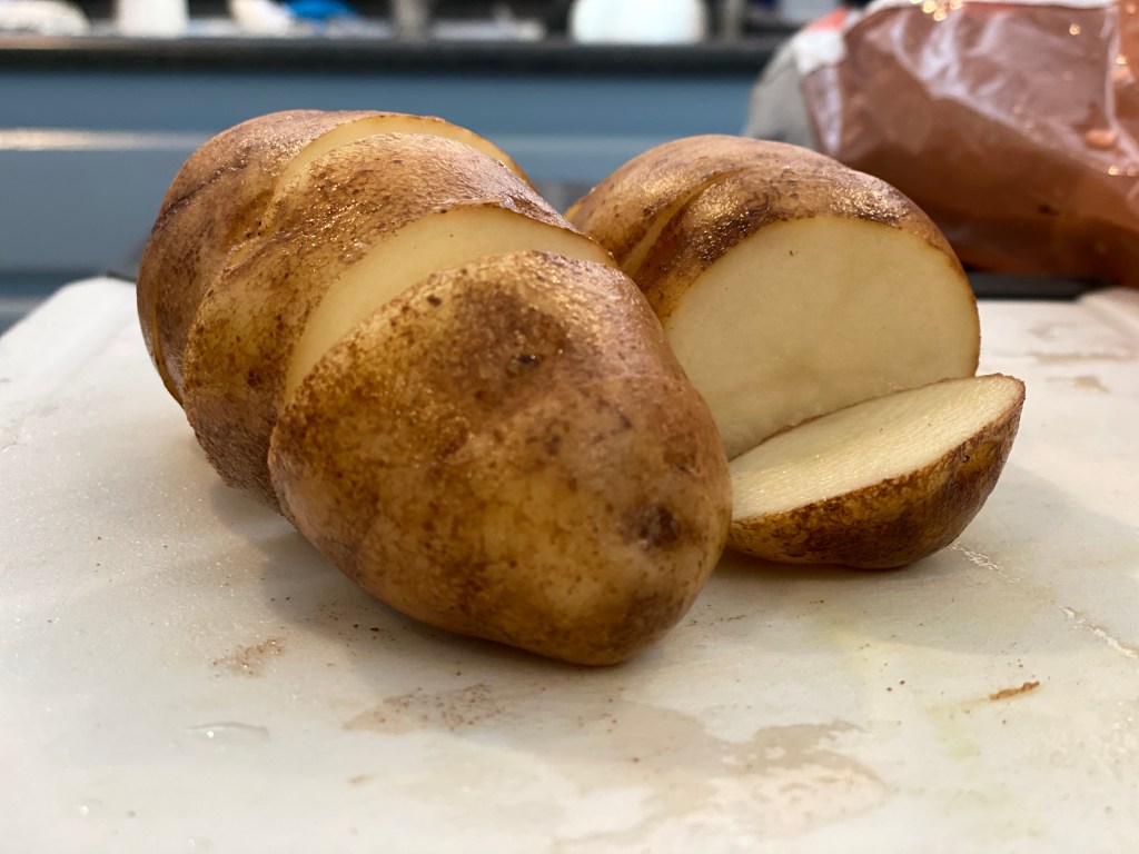 Curiosity is Essential to&nbsp;Survival